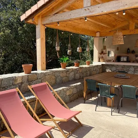Villa De Standing Piscine Chauffee Balagne Pietralba Villa *